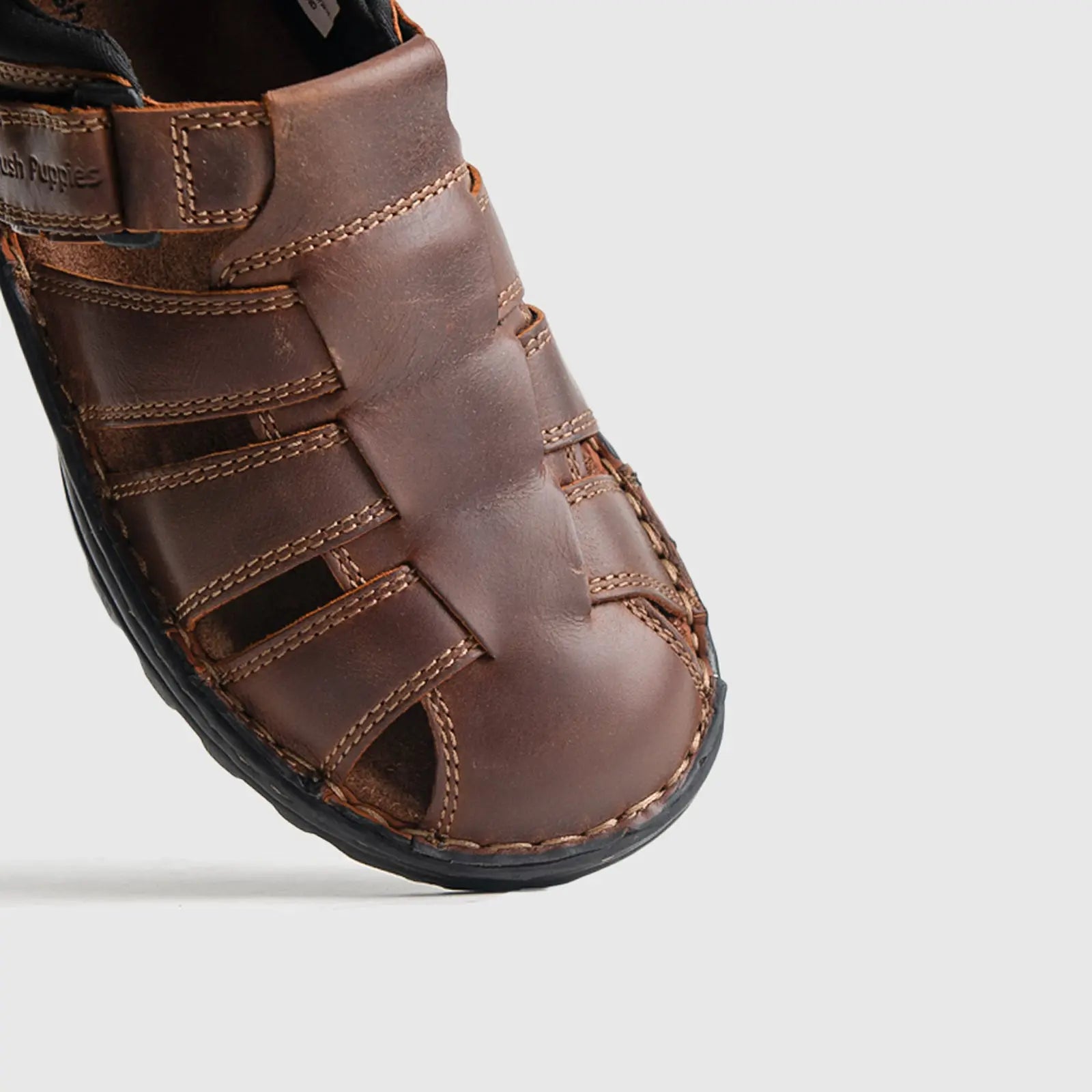 Big Boy Chestnut